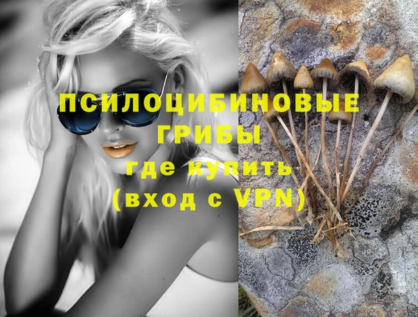 трава Армянск
