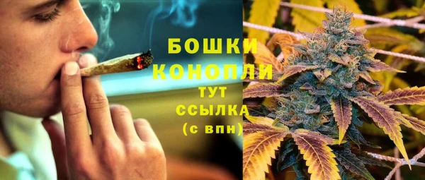 трава Армянск